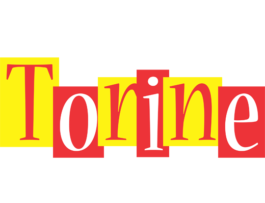Torine errors logo
