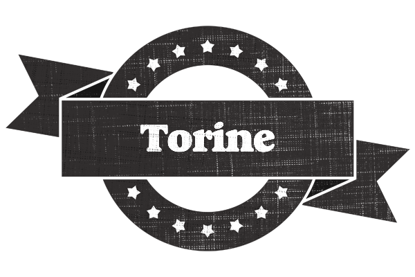 Torine grunge logo