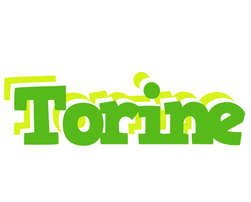 Torine picnic logo