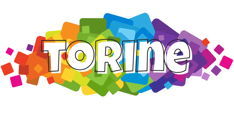 Torine pixels logo