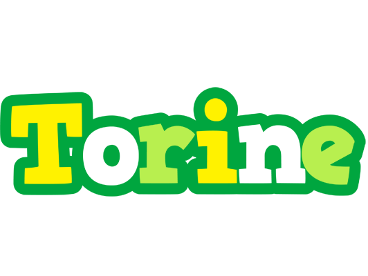 Torine soccer logo
