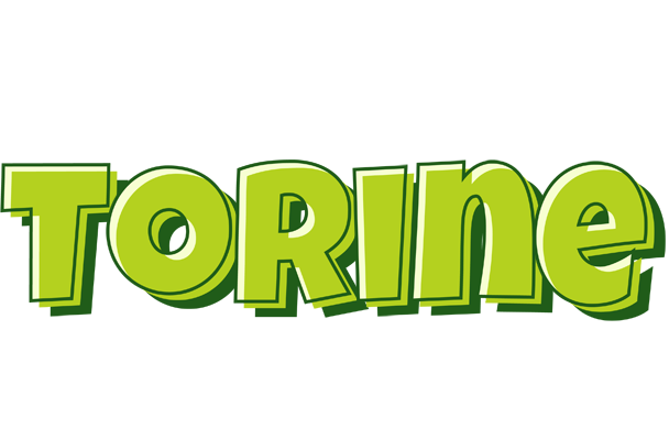 Torine summer logo