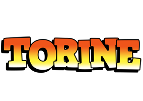 Torine sunset logo