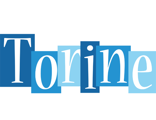 Torine winter logo