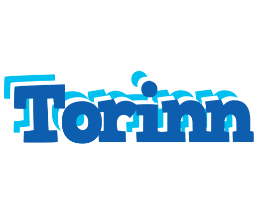Torinn business logo