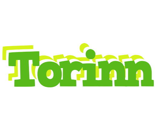 Torinn picnic logo