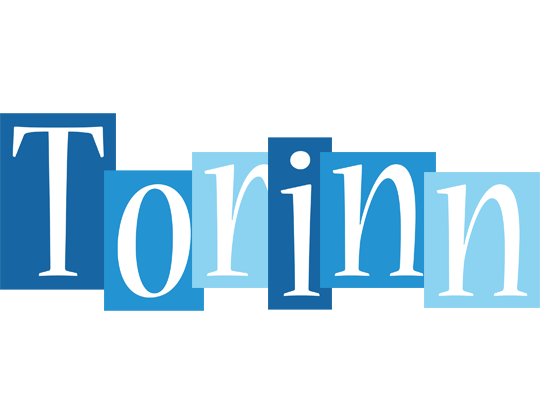 Torinn winter logo