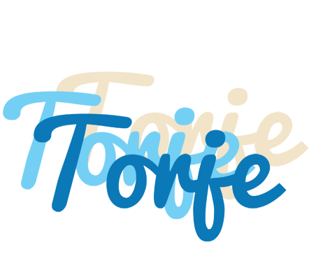 Torje breeze logo