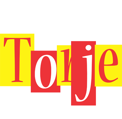 Torje errors logo