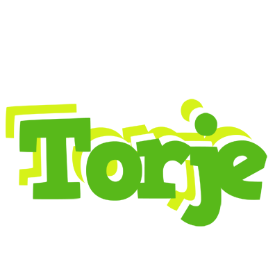 Torje picnic logo