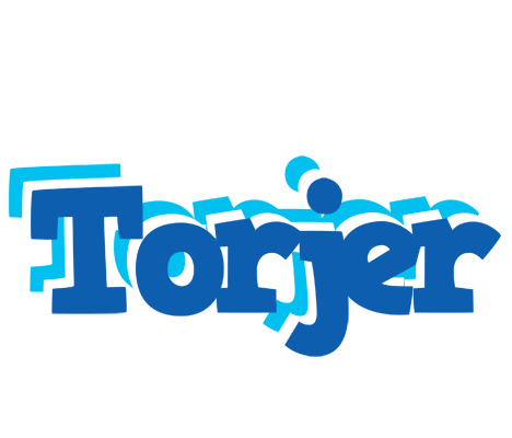 Torjer business logo