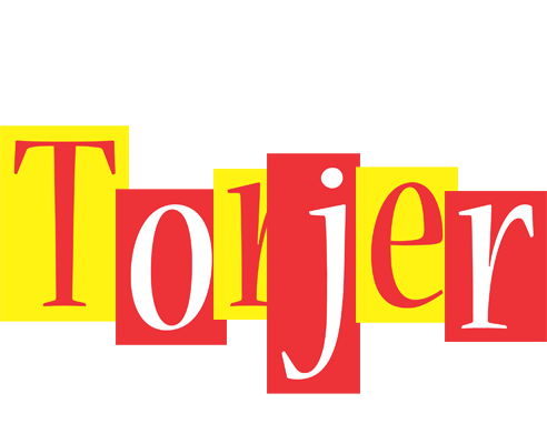 Torjer errors logo