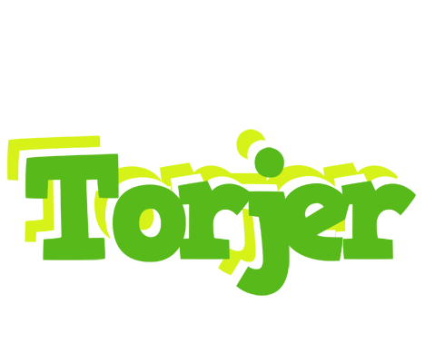 Torjer picnic logo