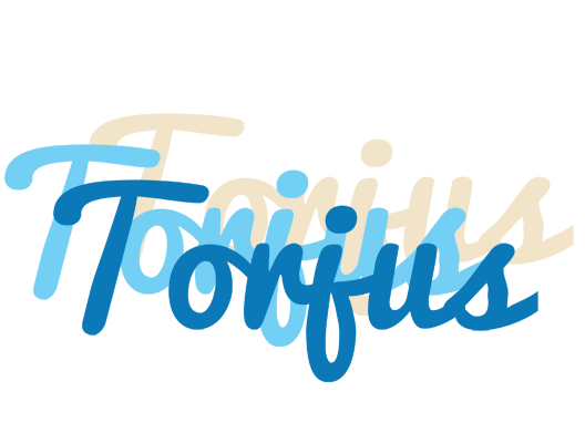 Torjus breeze logo