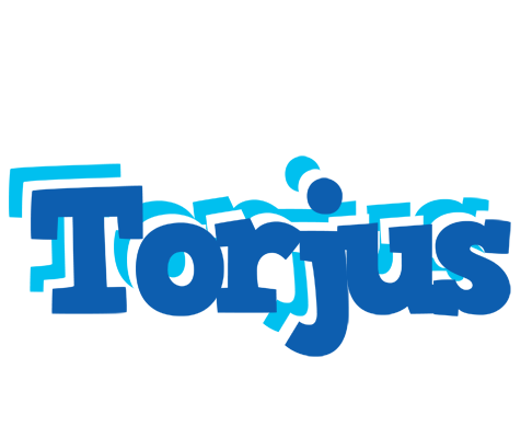 Torjus business logo
