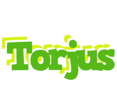 Torjus picnic logo