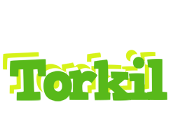 Torkil picnic logo