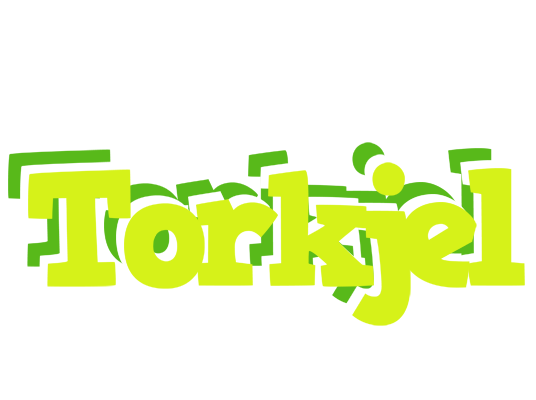 Torkjel citrus logo