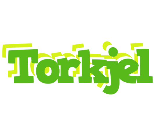 Torkjel picnic logo