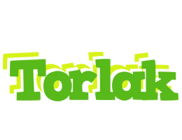 Torlak picnic logo