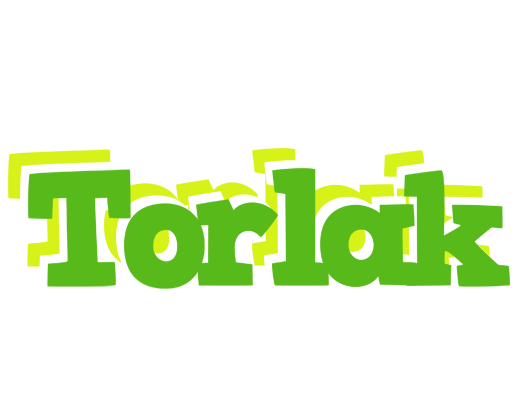 Torlak picnic logo