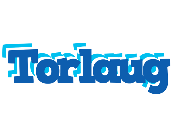 Torlaug business logo