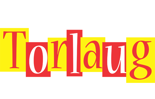 Torlaug errors logo