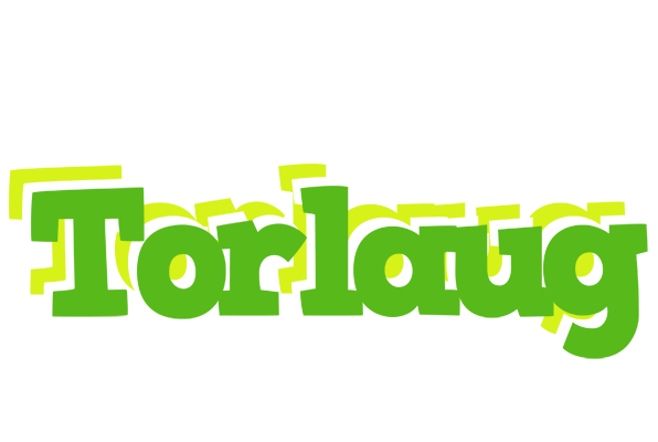 Torlaug picnic logo