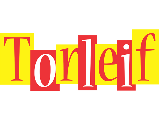 Torleif errors logo