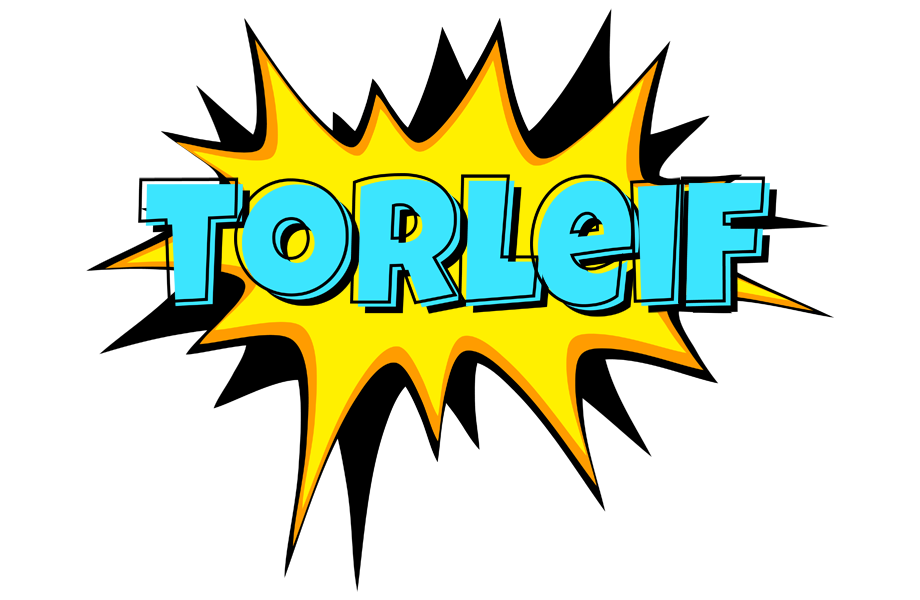 Torleif indycar logo