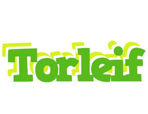 Torleif picnic logo