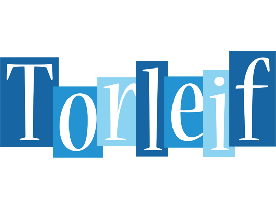 Torleif winter logo