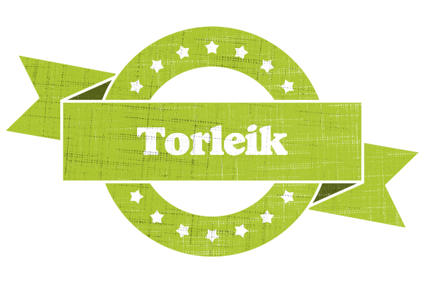 Torleik change logo
