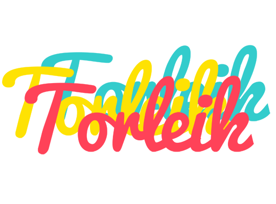 Torleik disco logo