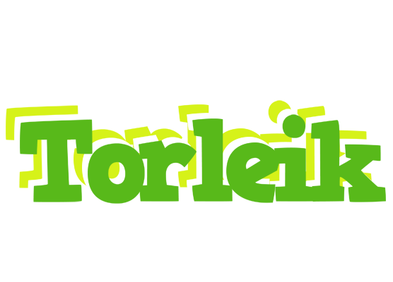 Torleik picnic logo