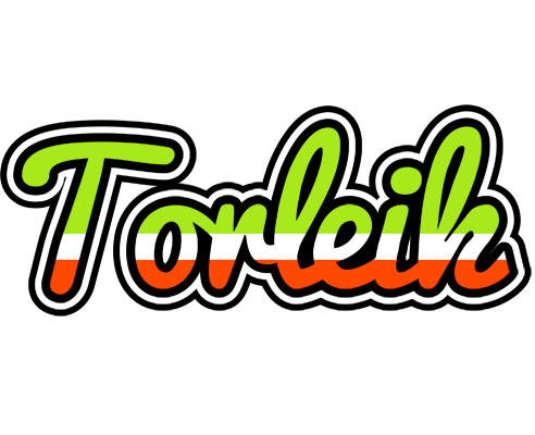 Torleik superfun logo