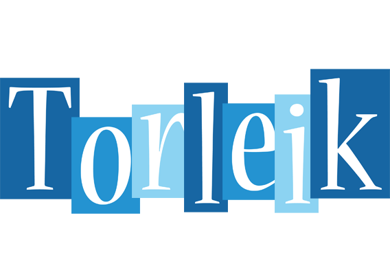 Torleik winter logo