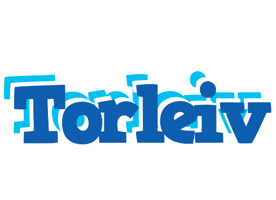 Torleiv business logo