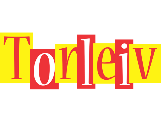 Torleiv errors logo