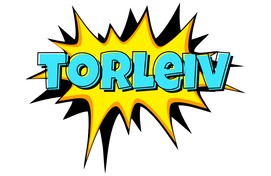 Torleiv indycar logo