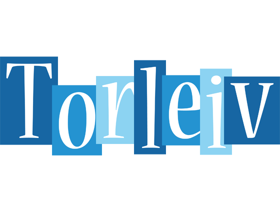 Torleiv winter logo