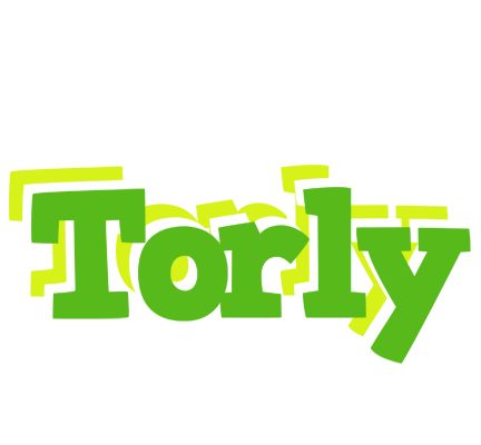 Torly picnic logo