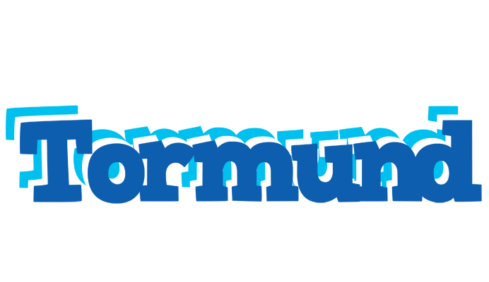 Tormund business logo