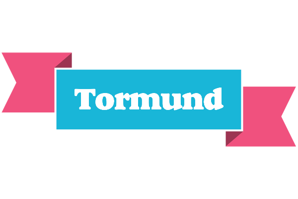 Tormund today logo