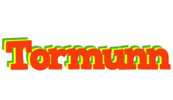 Tormunn bbq logo