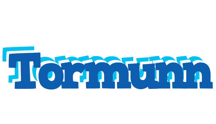 Tormunn business logo