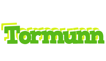 Tormunn picnic logo