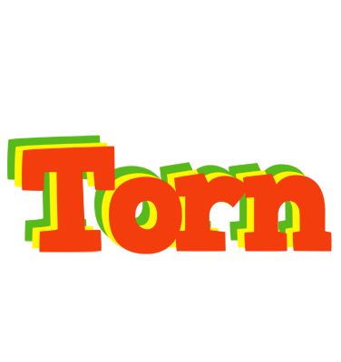 Torn bbq logo
