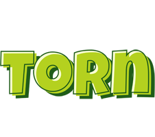 Torn summer logo