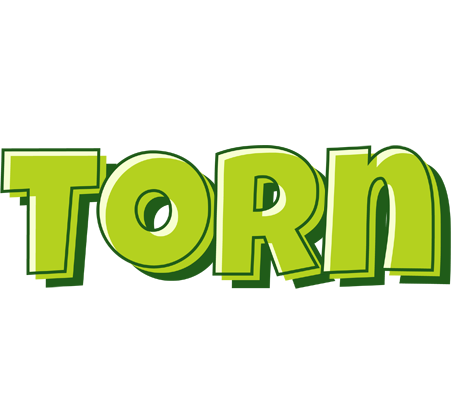 Torn summer logo